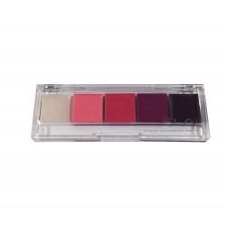 Pro palette 5 lipsticks